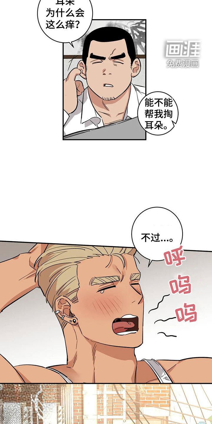 第17章：老虎窝