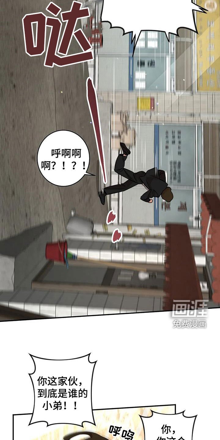 第17章：老虎窝