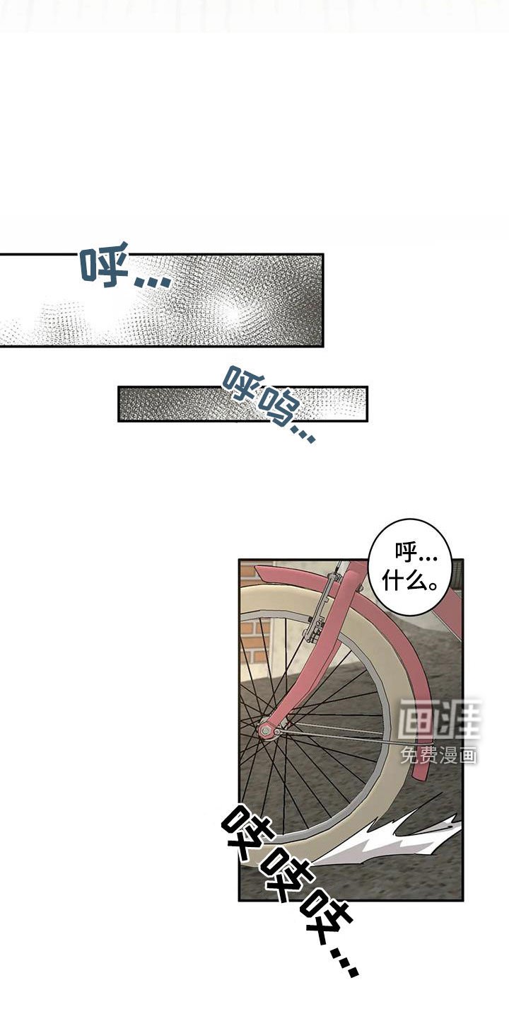第17章：老虎窝
