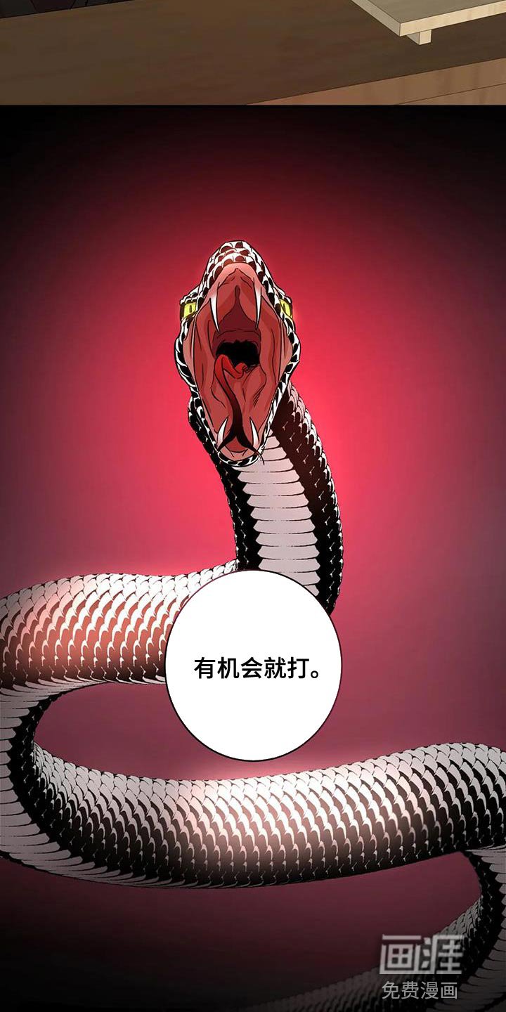 第25章：胆子越来越大
