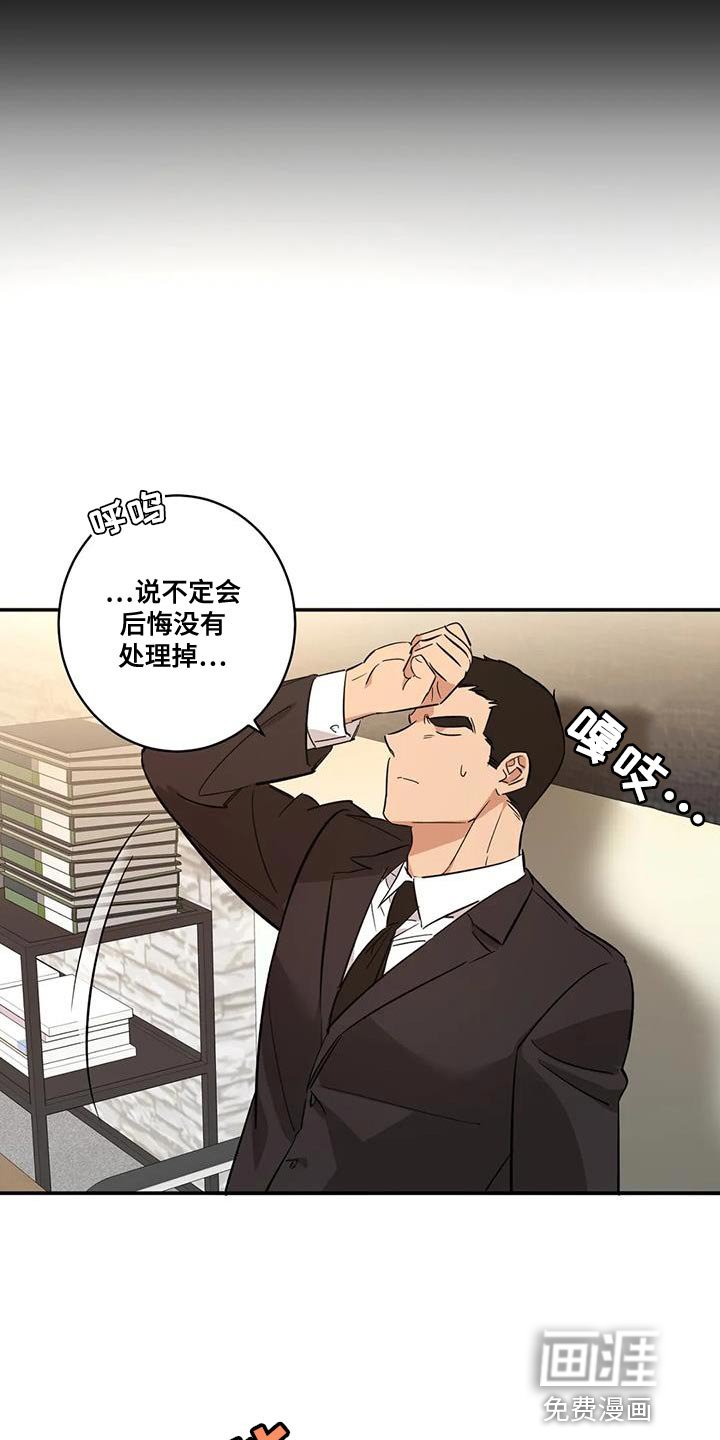 第27章：狐狸
