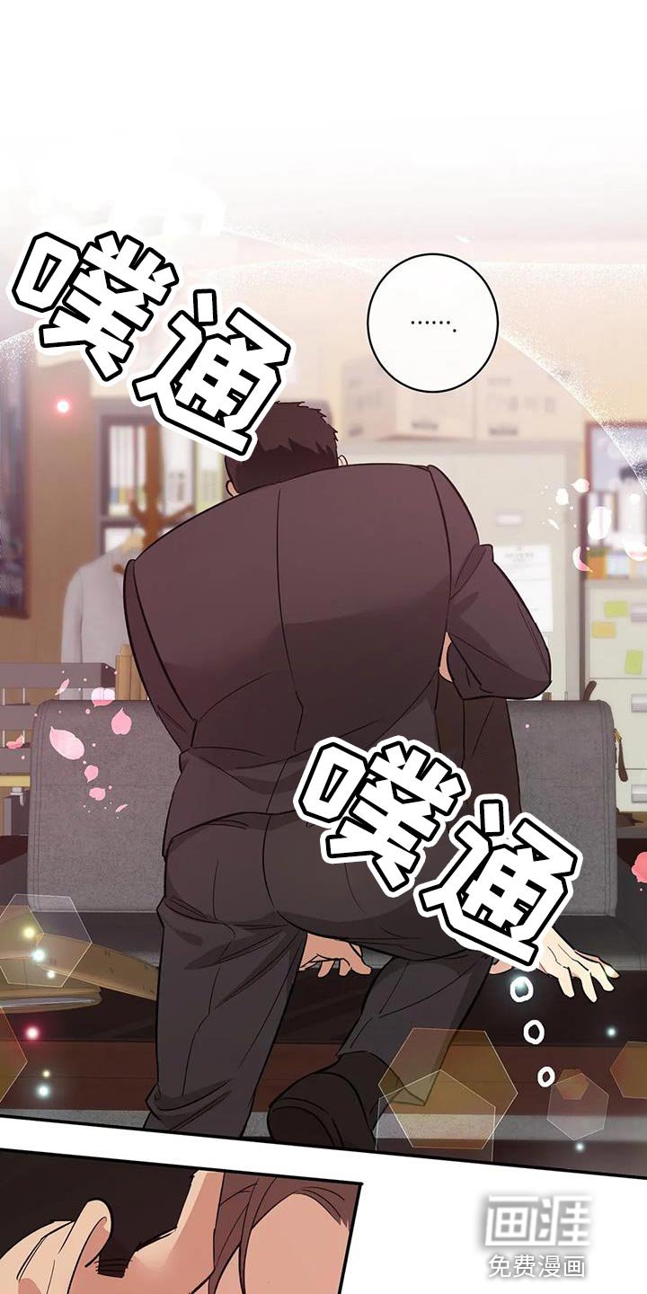 第27章：狐狸