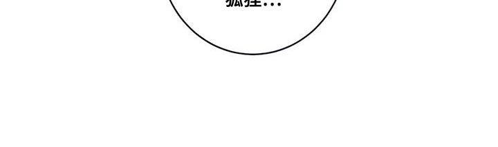 第27章：狐狸