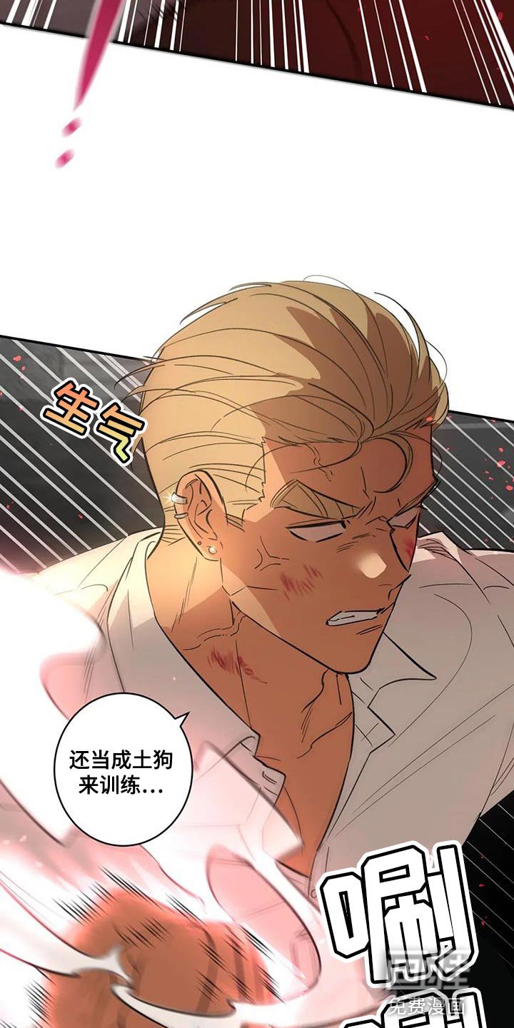 第37章：伪装