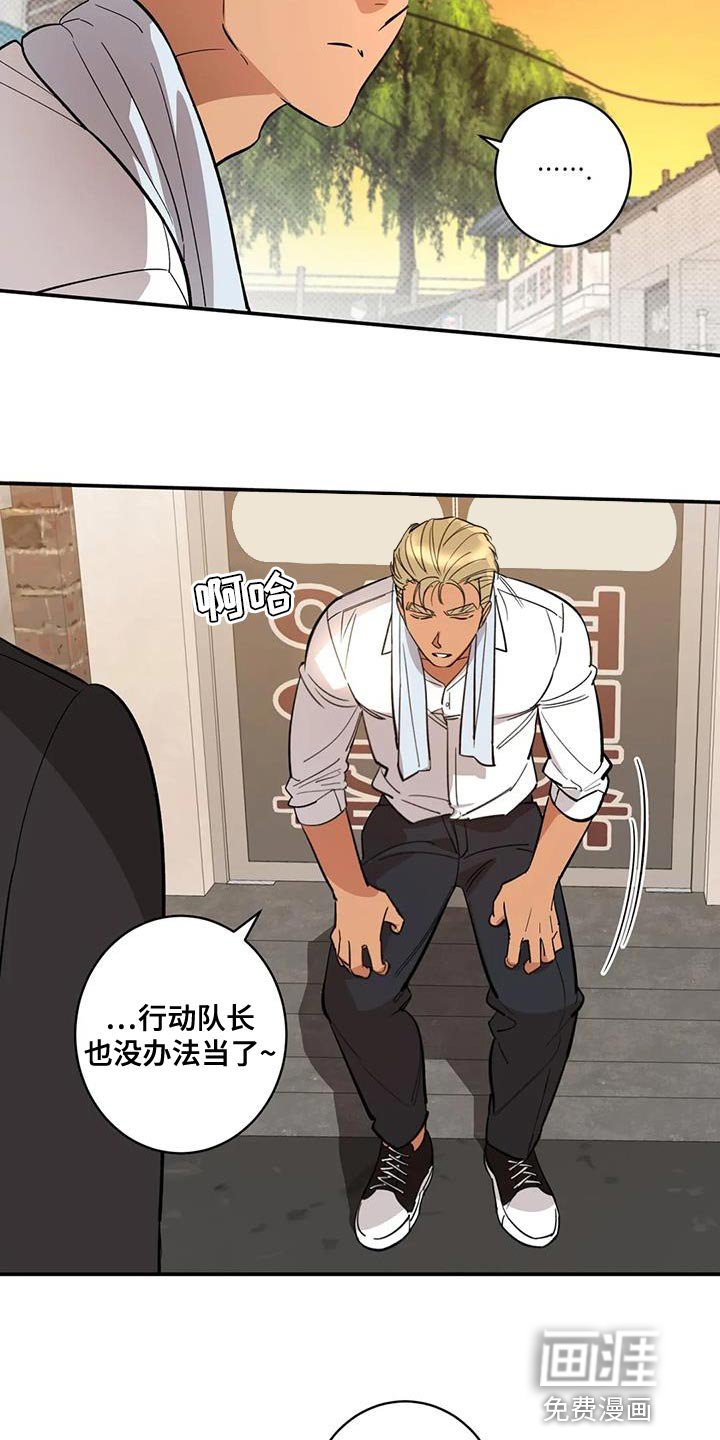 第37章：伪装