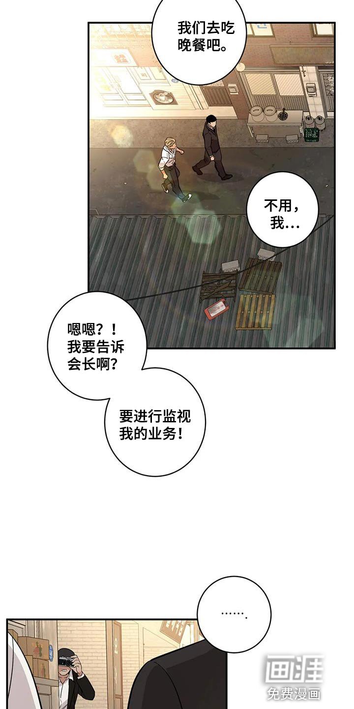 第37章：伪装