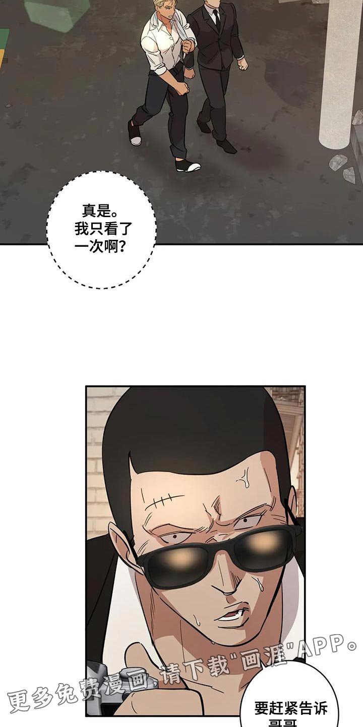 第37章：伪装