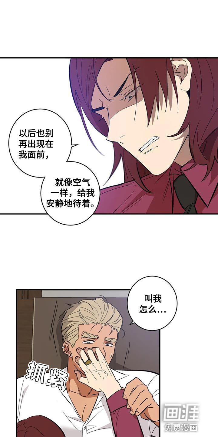 第39章：我也同样对你