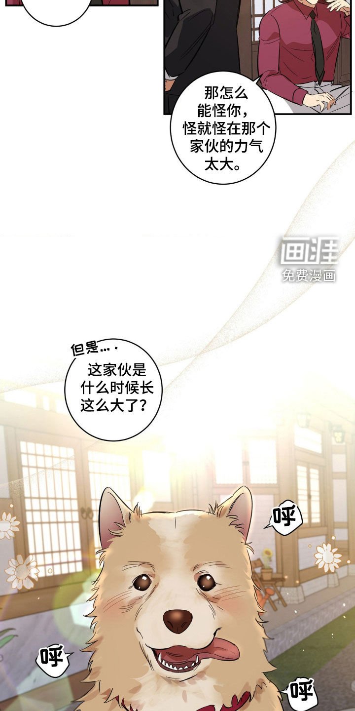 第45章：你嫉妒了