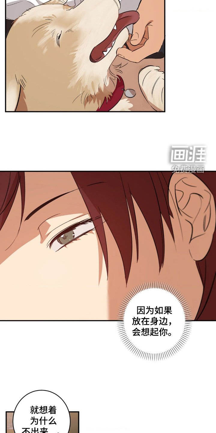 第45章：你嫉妒了