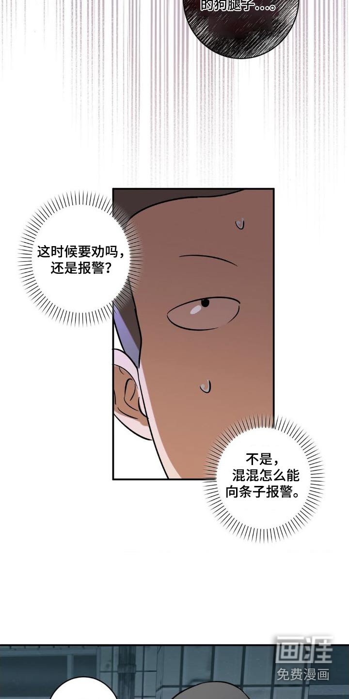 第47章：跟随
