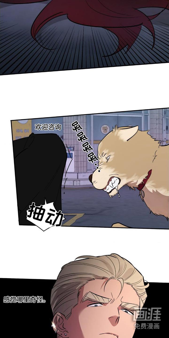 第47章：跟随