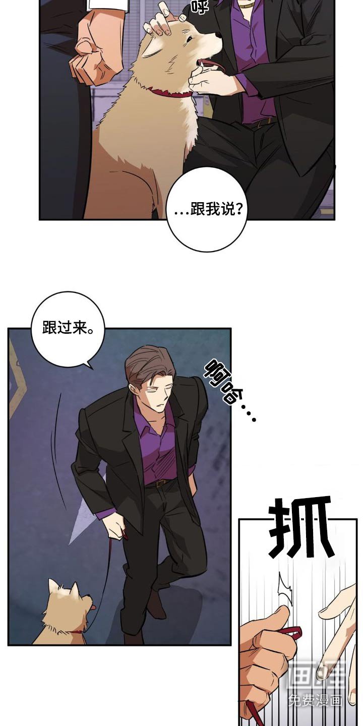 第48章：直说吧