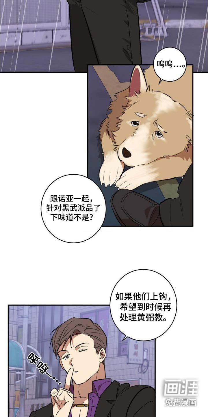 第48章：直说吧