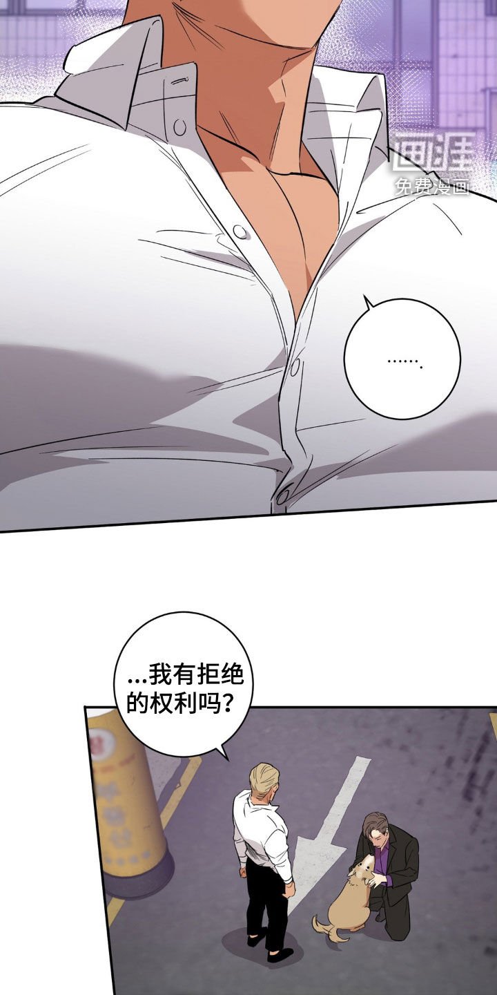 第49章：建议