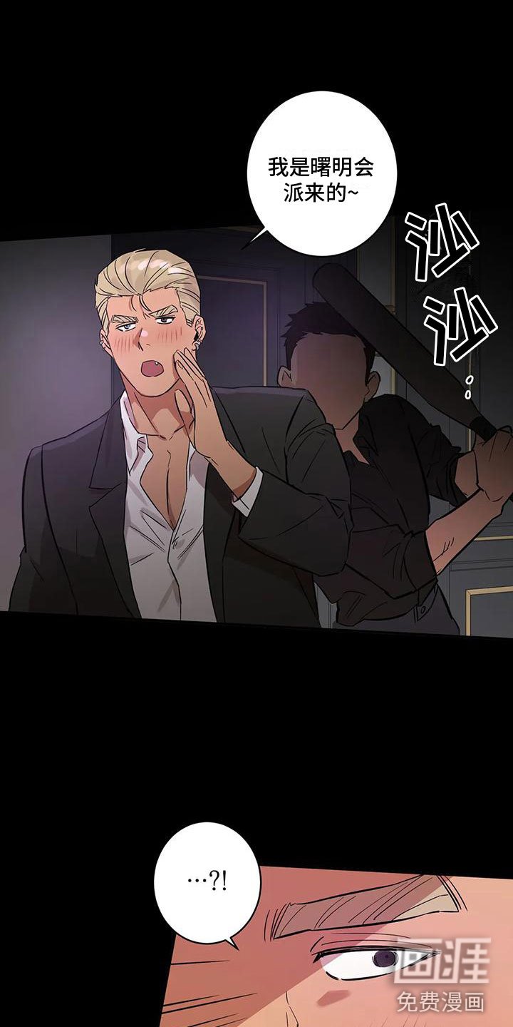 第8章：老虎酒吧