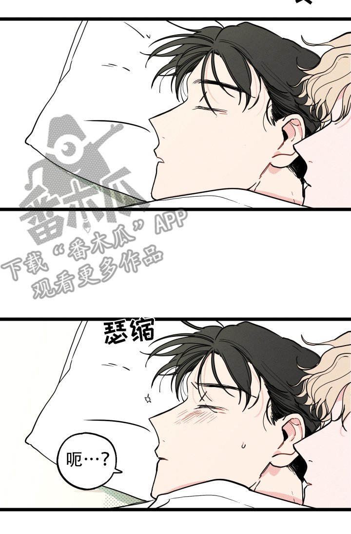 第11章：虚晃一枪