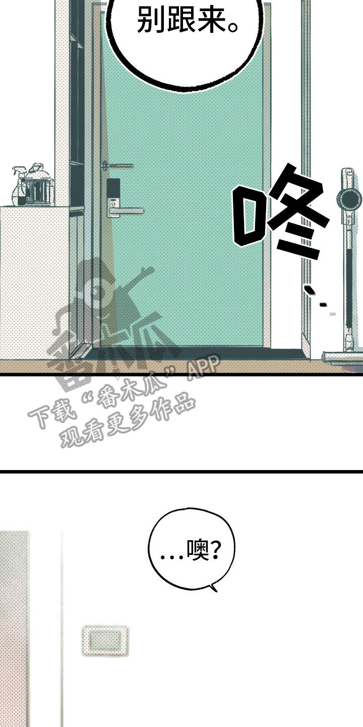 第8章：解释