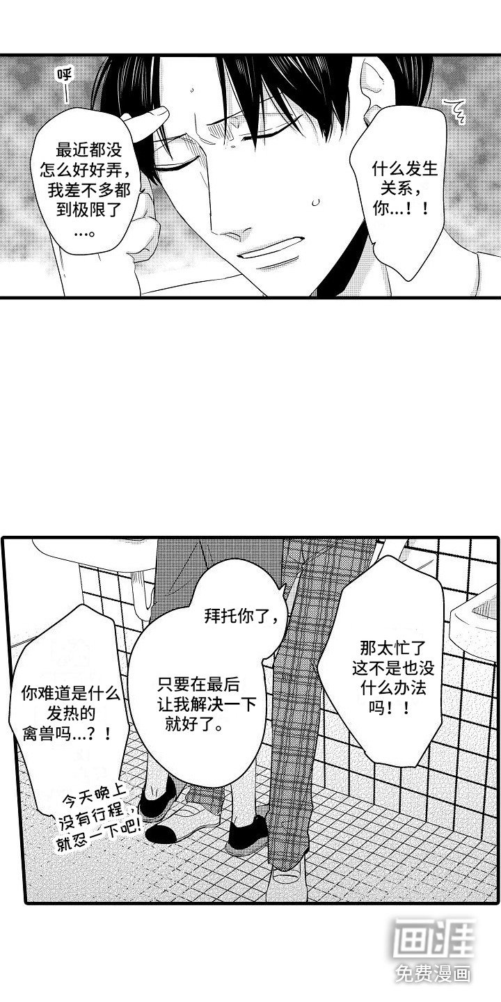 第13章：很适合