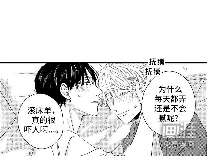 第36章：理想型伴侣（完结）