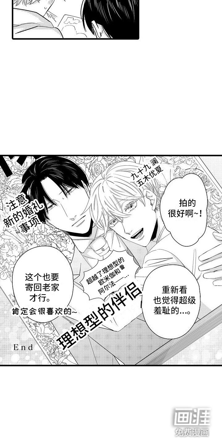第36章：理想型伴侣（完结）