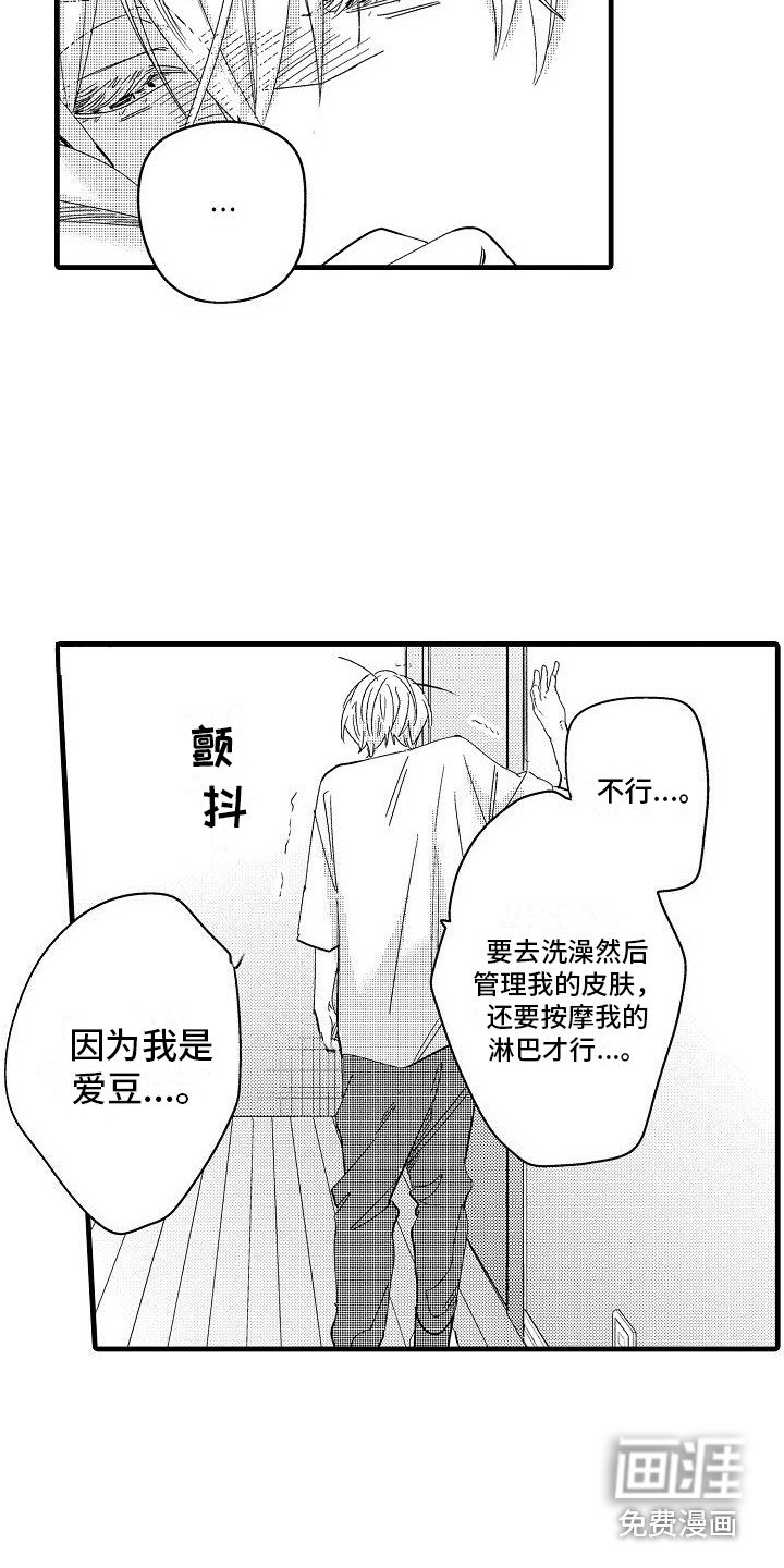 第7章：规则