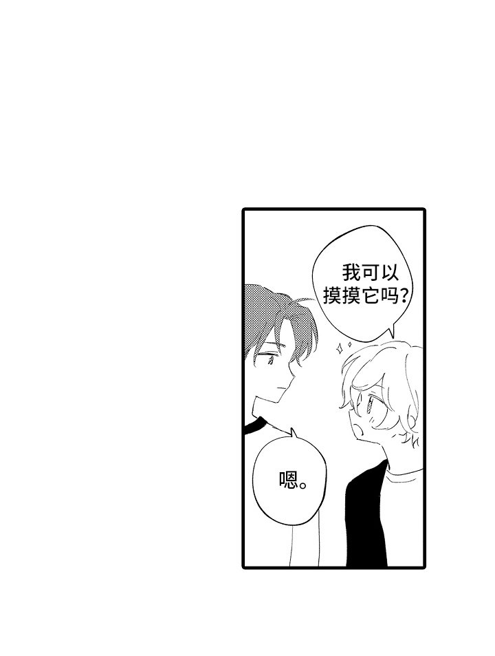 第10章：很有价值
