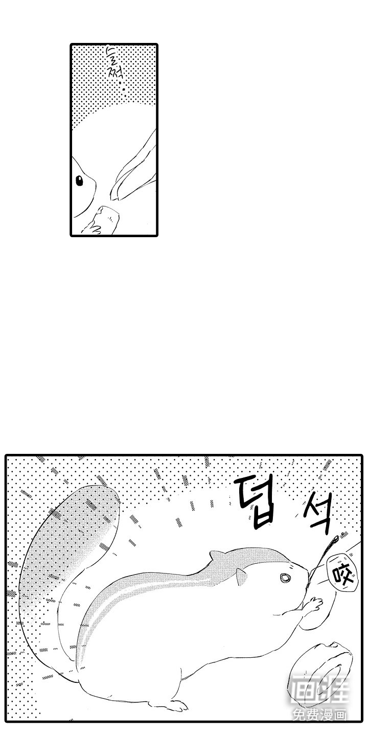 第11章：一定要去
