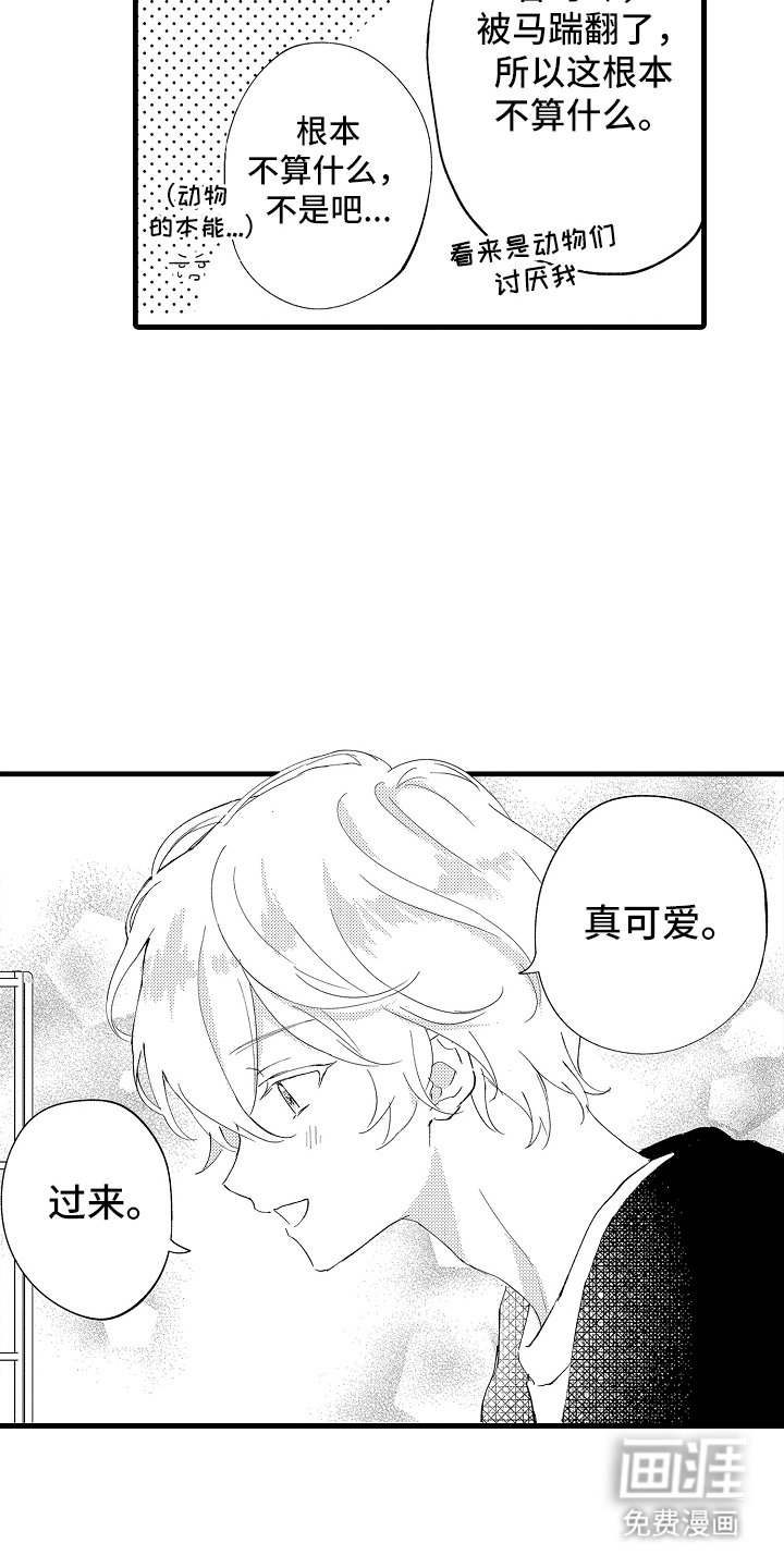 第11章：一定要去