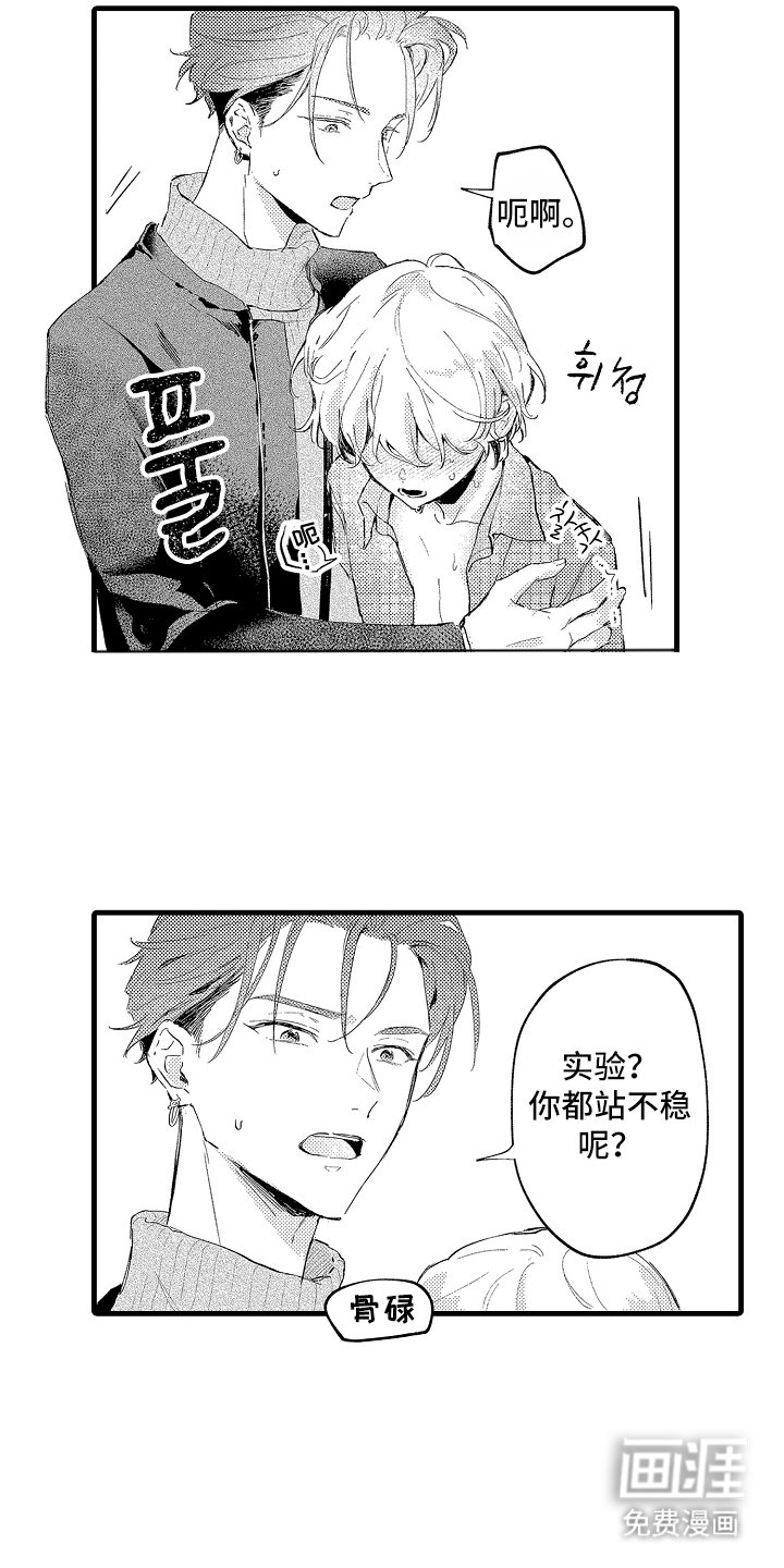 第14章：新实验