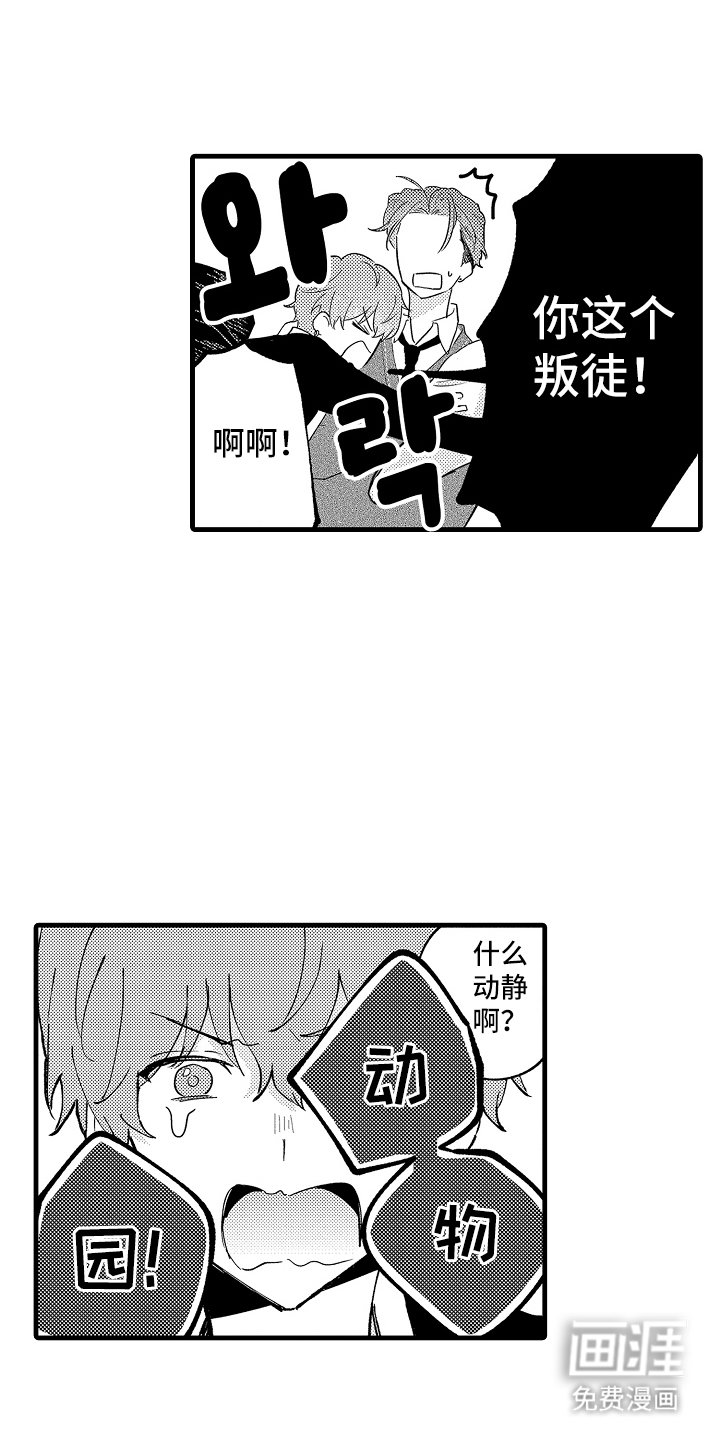 第17章：行动吗