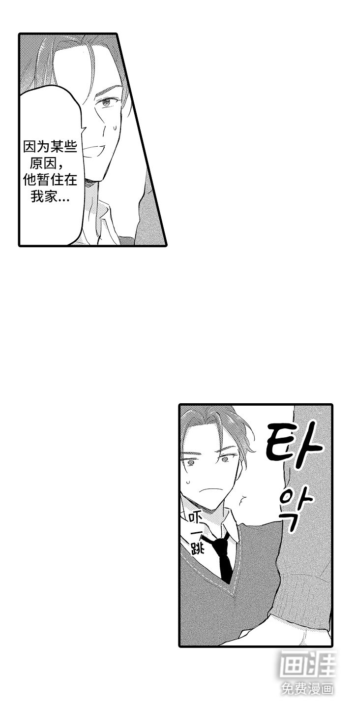 第17章：行动吗