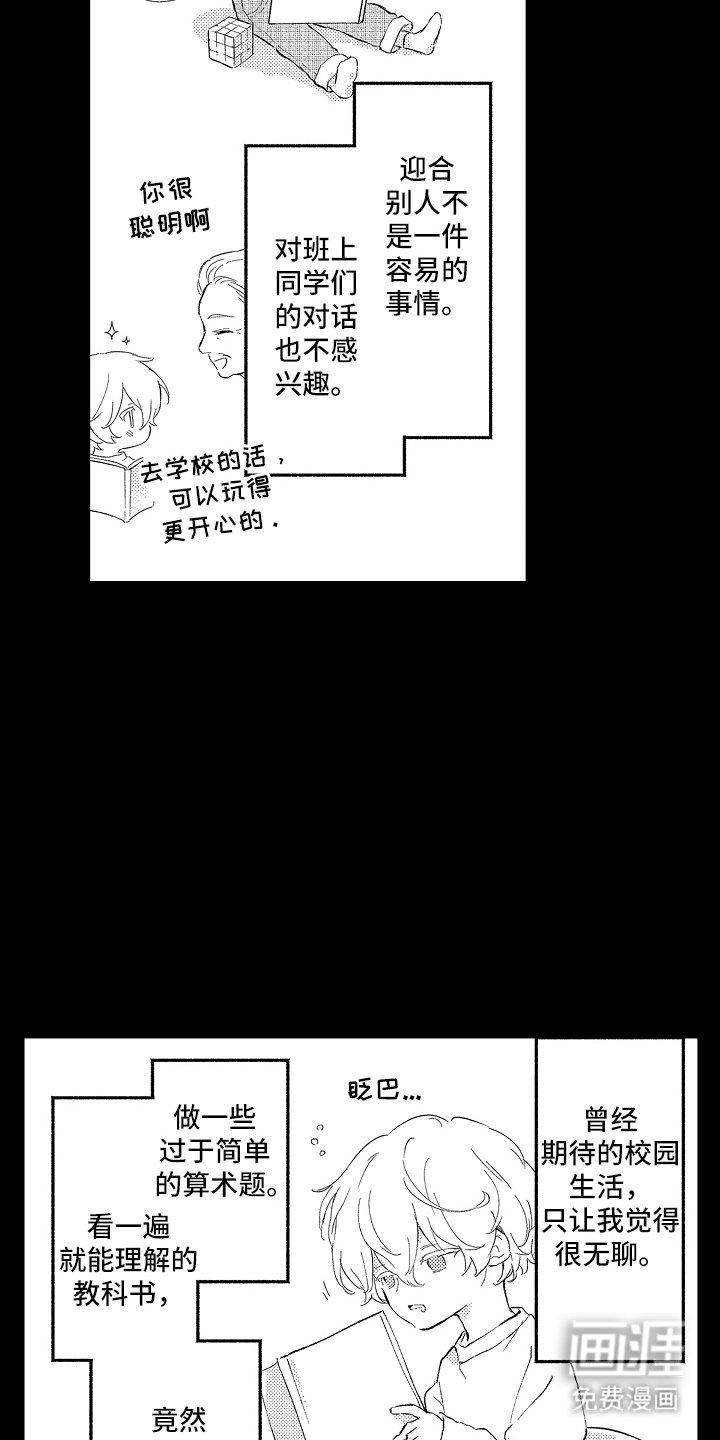第19章：不理解