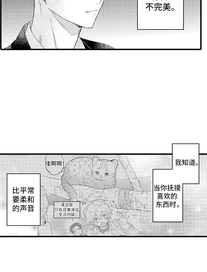 第22章：并不完美