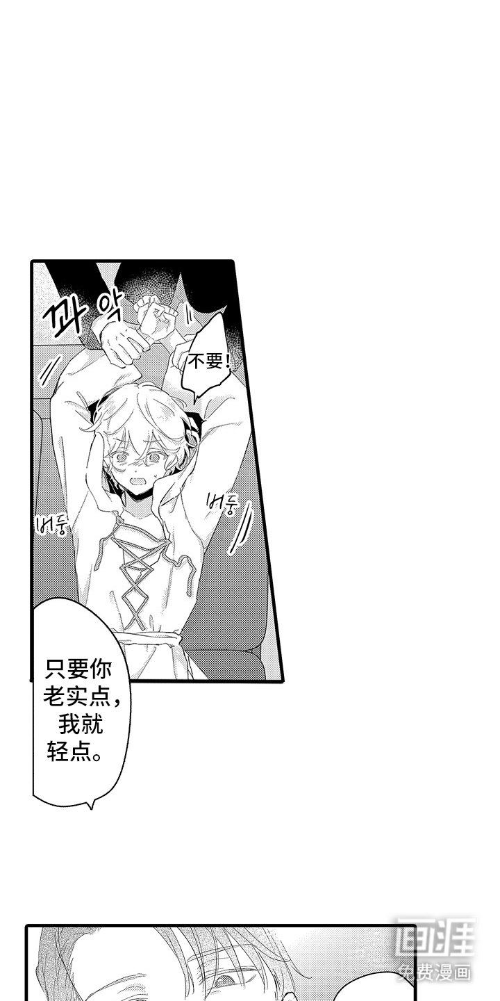 第23章：委员会