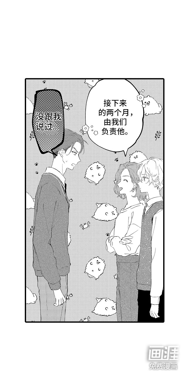 第4章：请多指教