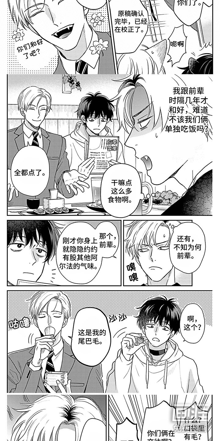 第12章：毛发