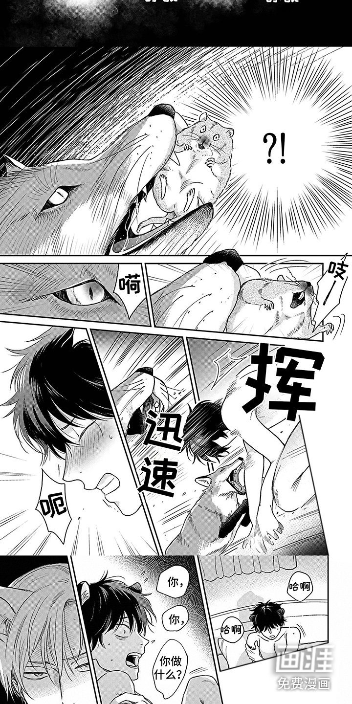 第13章：咬伤 