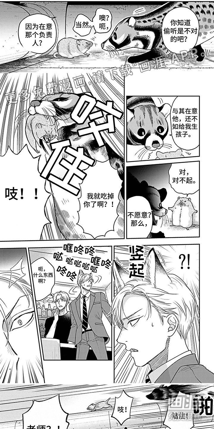 第17章：真心话