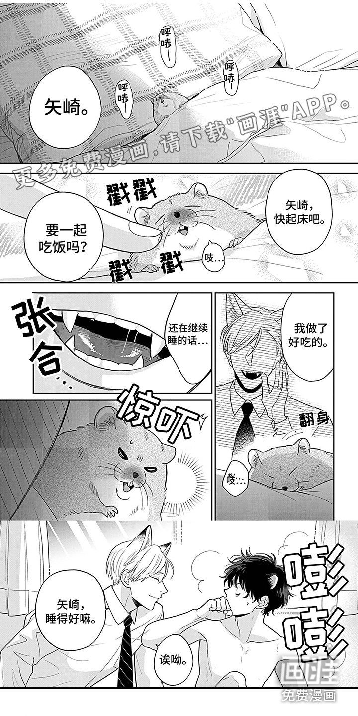 第19章：恋人关系