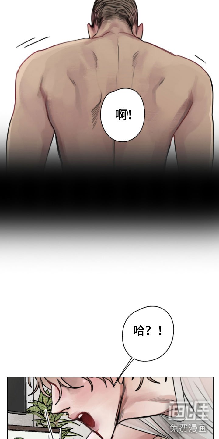 第9章：光天化日