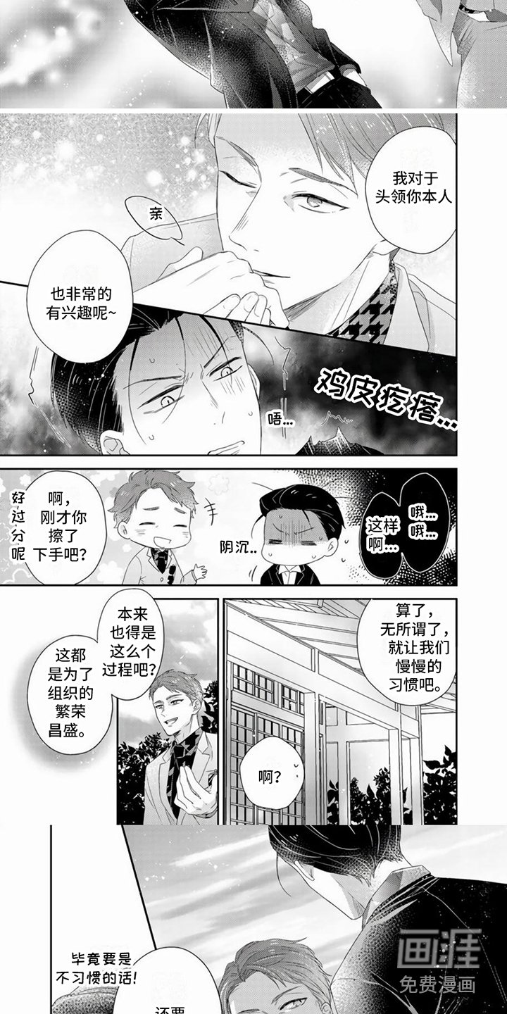 第13章：直截了当