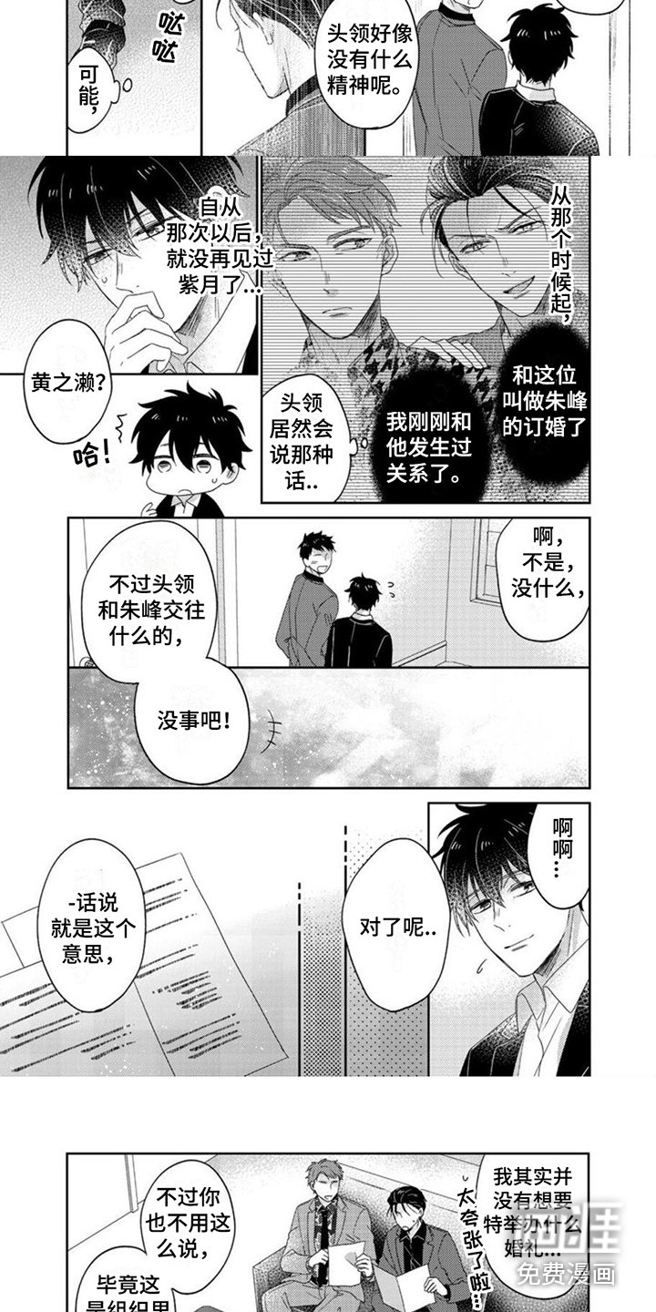 第18章：欺骗