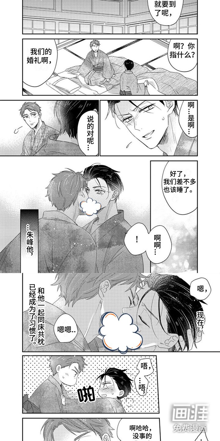 第18章：欺骗
