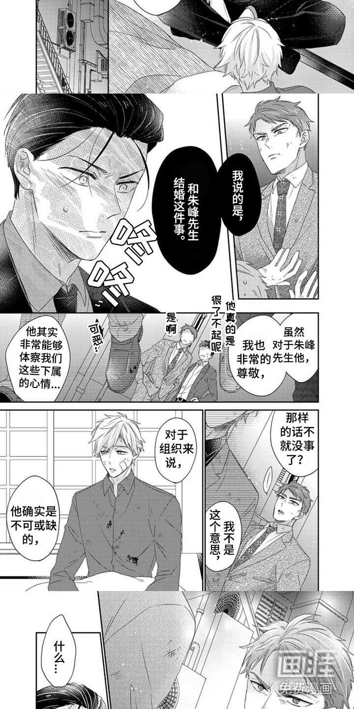 第19章：不可或缺