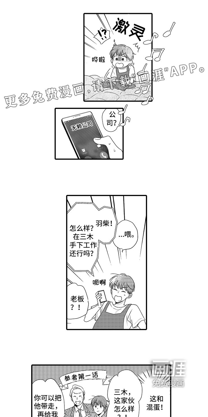 第13章：疯狂