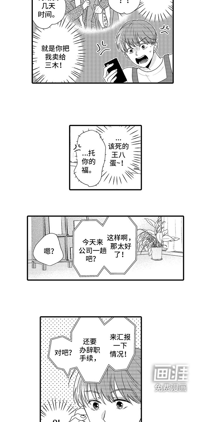 第13章：疯狂