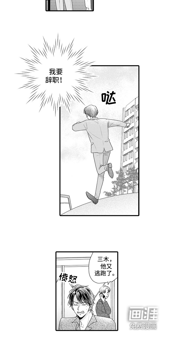 第13章：疯狂