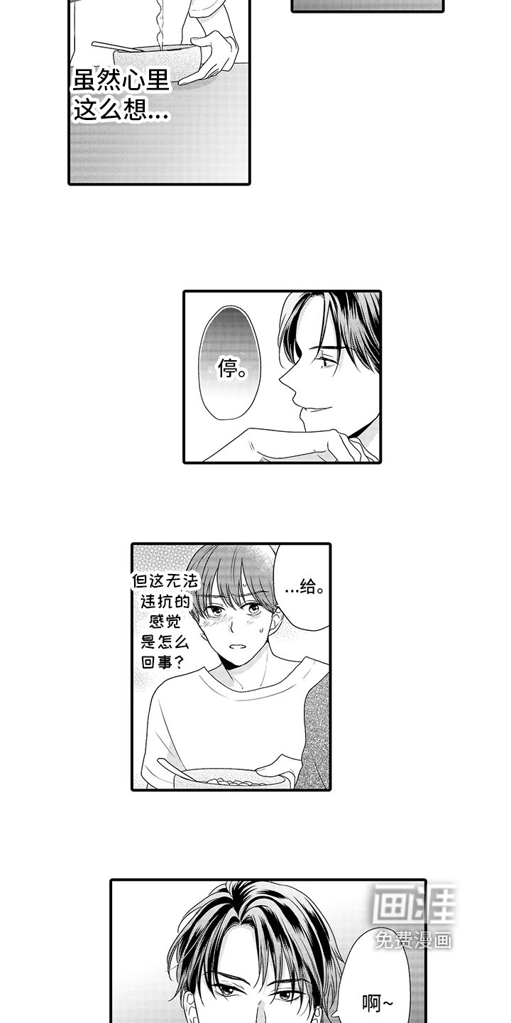 第4章：喂食