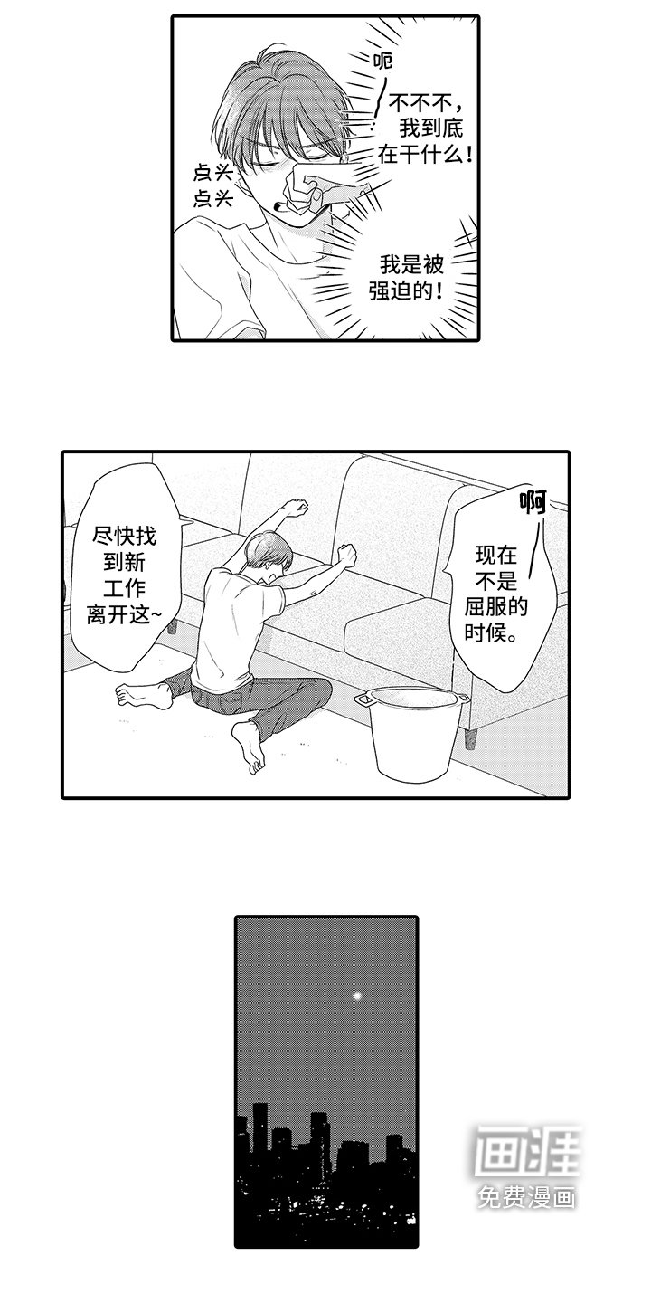 第4章：喂食